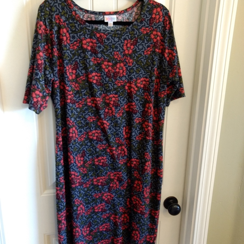 3XL LuLaRoe Julia